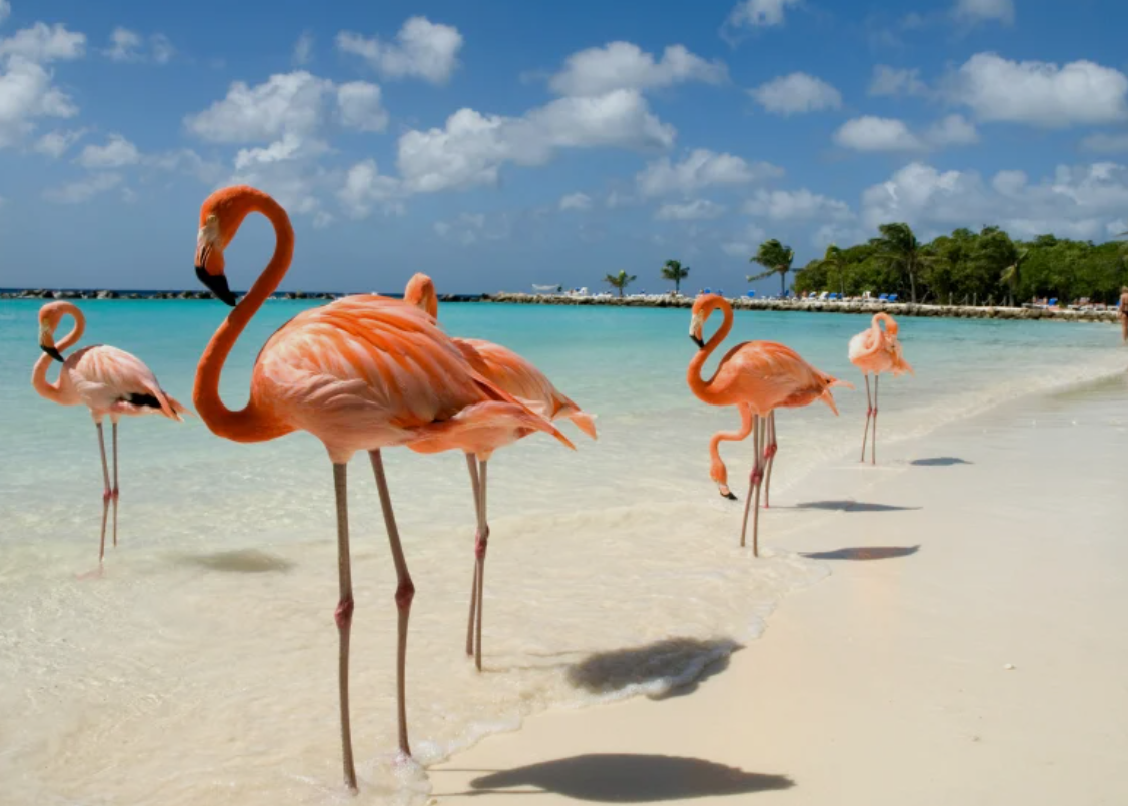Joyas Caribeñas · foto 2