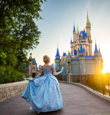 Disney - Magic kingdom
