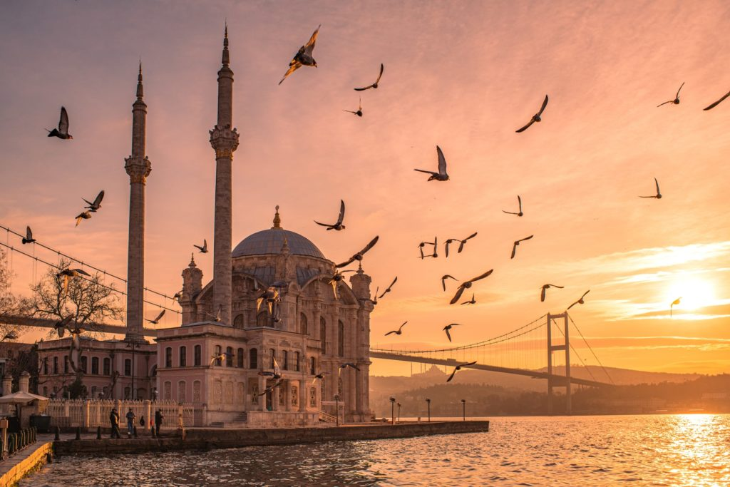 Regreso a Estambul y despedida