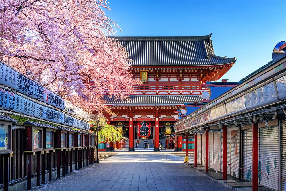 Oriente Esencial: Japón & Corea · foto 3